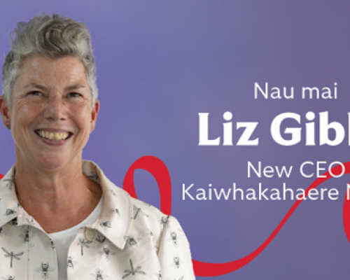 Lizz Gibbs New ED