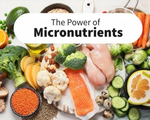 Micronutrients and HIV